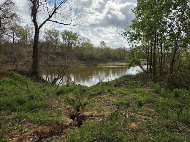 0 Kings Oak Drive, Damon, TX 77430