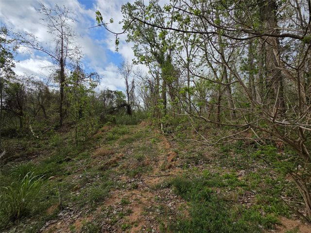 0 Kings Oak Drive, Damon, TX 77430