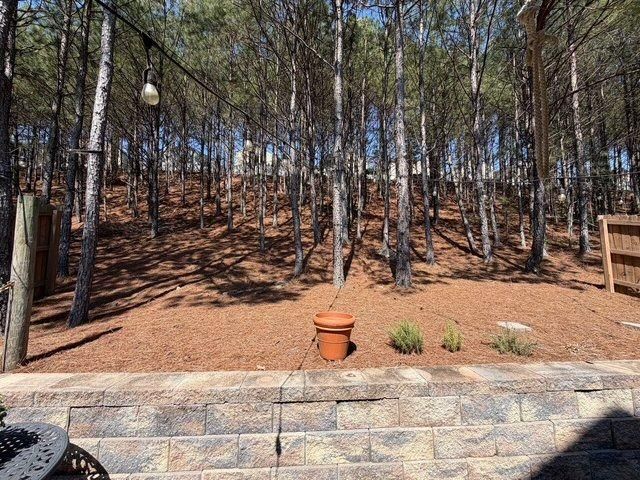 331 Alcovy Way, Woodstock, GA 30188