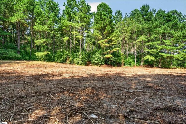 00 Todd Road, Honea Path, SC 29654