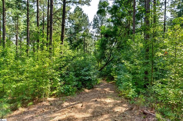 00 Todd Road, Honea Path, SC 29654