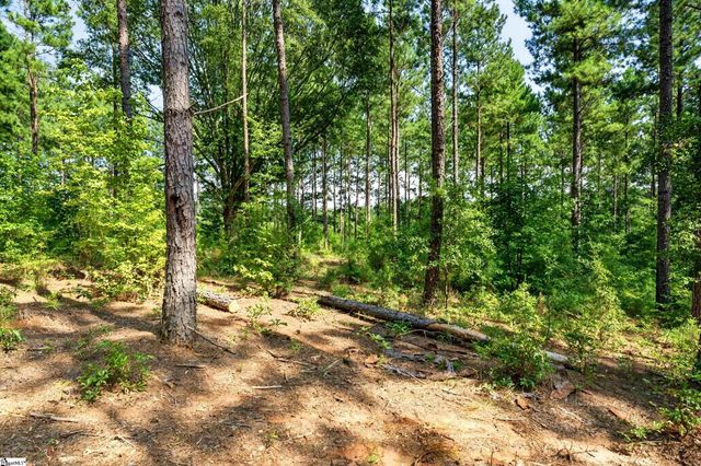 00 Todd Road, Honea Path, SC 29654