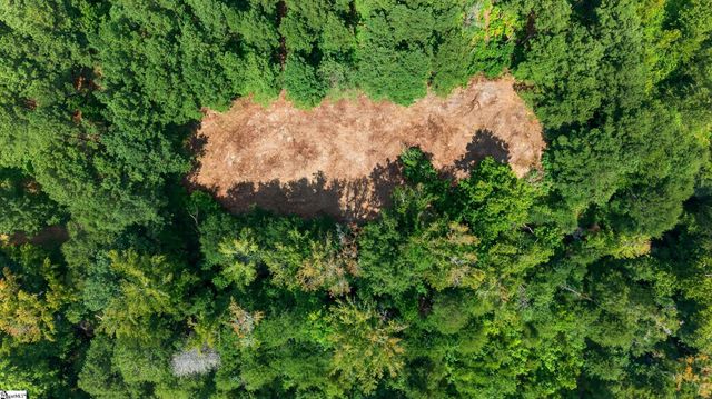 00 Todd Road, Honea Path, SC 29654