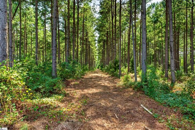 00 Todd Road, Honea Path, SC 29654