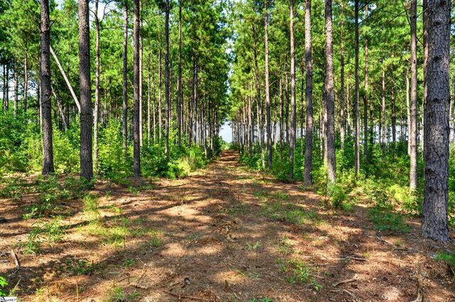 00 Todd Road, Honea Path, SC 29654