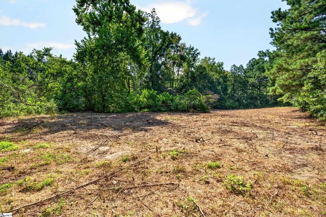 00 Todd Road, Honea Path, SC 29654