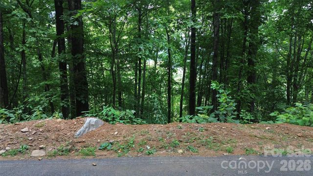 7 White Birch Court, Black Mountain, NC 28711