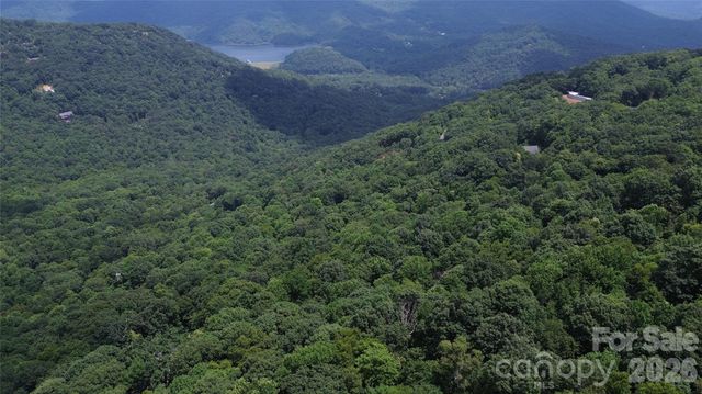 7 White Birch Court, Black Mountain, NC 28711