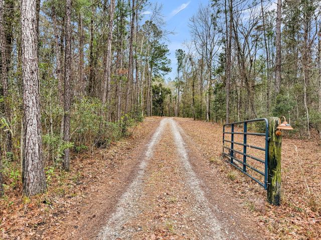 7769 Old Jacksonboro Road, Adams Run, SC 29426