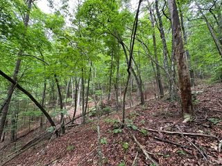 0 Creekview Drive, Ellijay, GA 30356