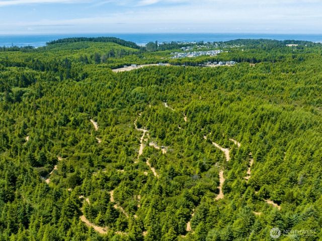 127 Pickler Bend, Pacific Beach, WA 98571