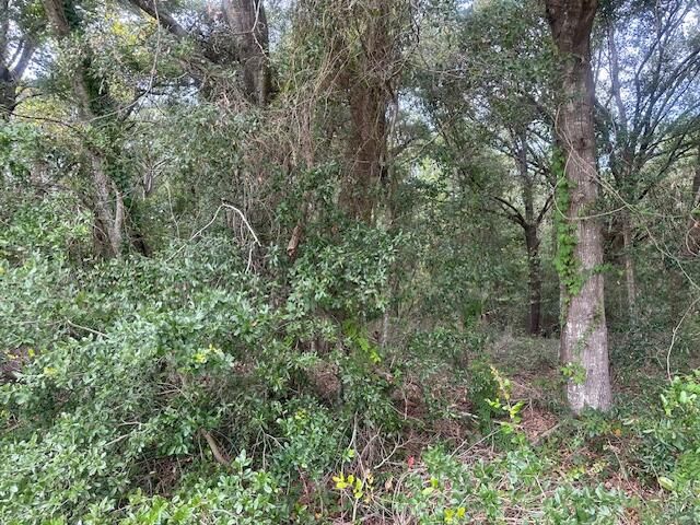 1236 Seaside Road, Saint Helena Island, SC 29920