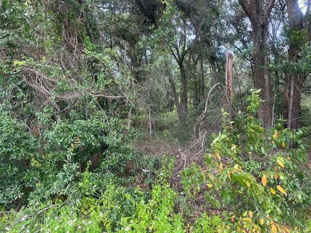 1236 Seaside Road, Saint Helena Island, SC 29920