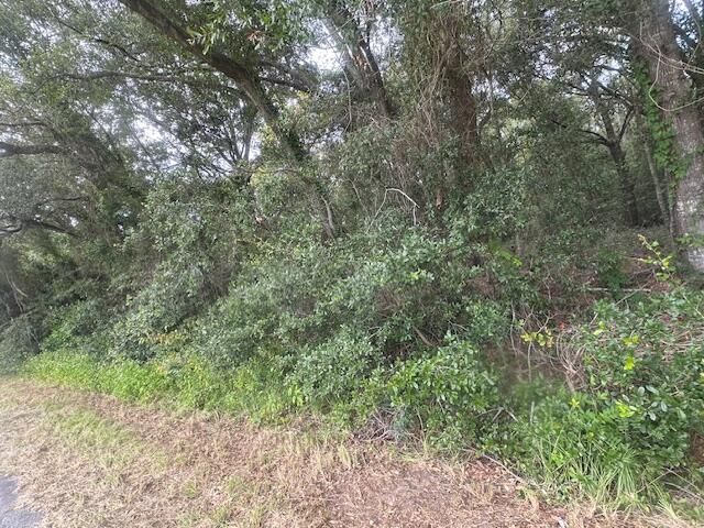 1236 Seaside Road, Saint Helena Island, SC 29920