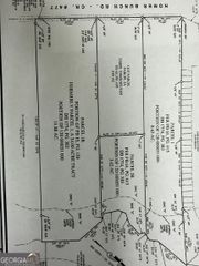 0 Homer Bunch Road, Statesboro, GA 30461