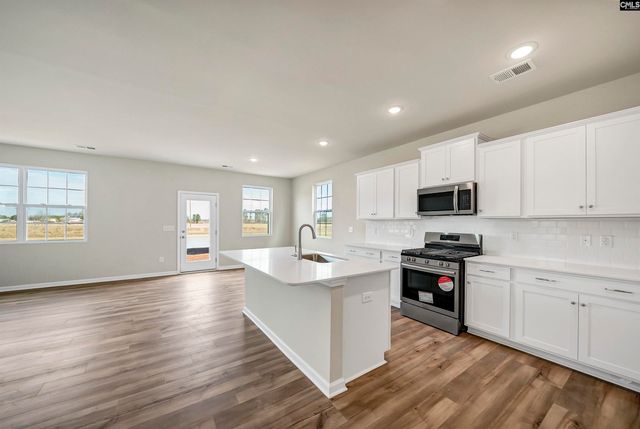 746 Ben Gunn Run, Gilbert, SC 29054