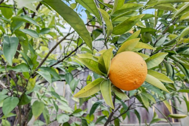 101 Kerr Ct, Folsom, CA 95630