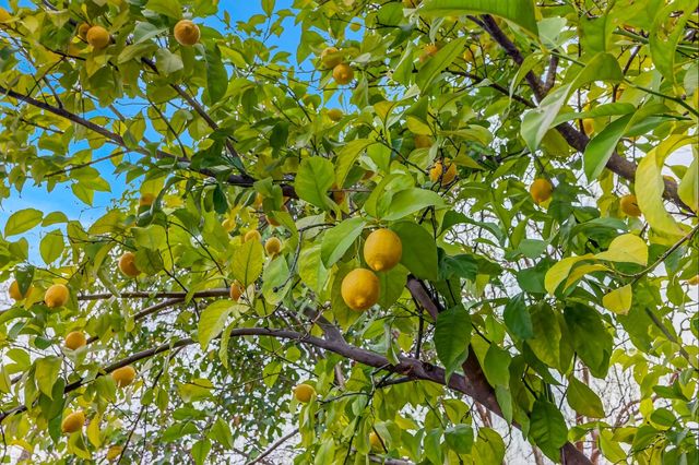 101 Kerr Ct, Folsom, CA 95630