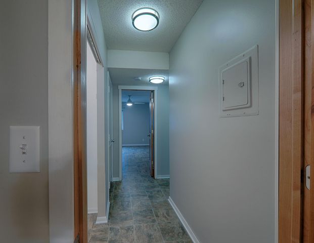 311 Pleasant Avenue 404, Saint Paul, MN 55102