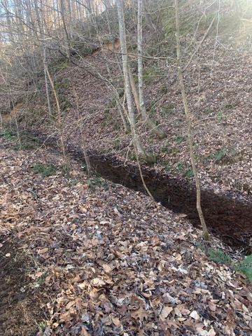 1252 Kelly Rd, Centerville, TN 37033