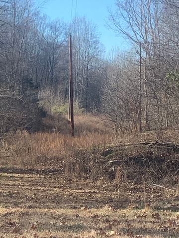 1252 Kelly Rd, Centerville, TN 37033