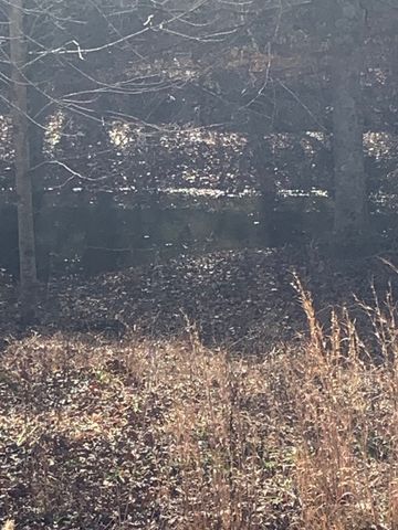 1252 Kelly Rd, Centerville, TN 37033