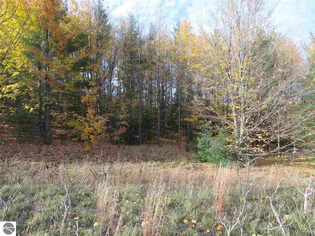 Image 1 of property listing at Lot 98 Eden Street, Kingsley, MI 49649