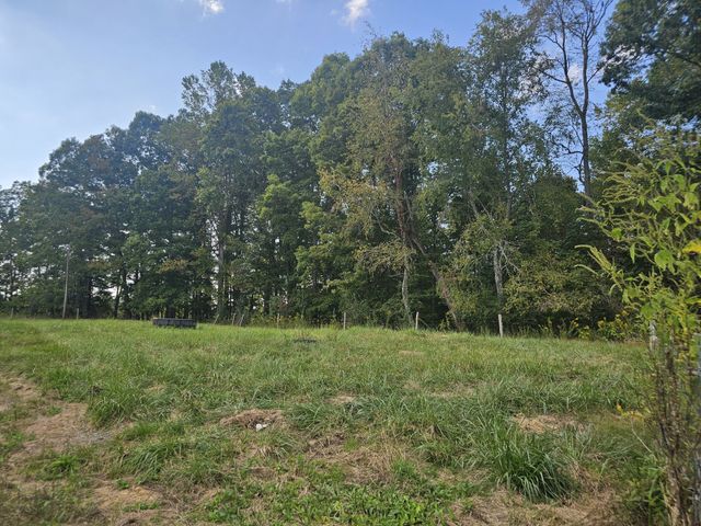 1077 Rock Ave, Palmer, TN 37365