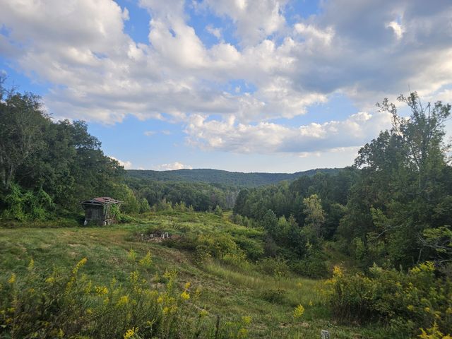 1077 Rock Ave, Palmer, TN 37365