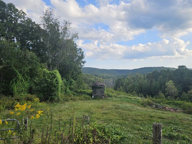 1077 Rock Ave, Palmer, TN 37365