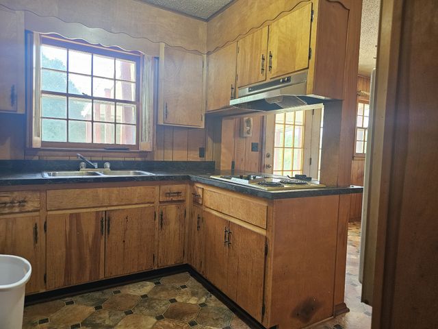 1077 Rock Ave, Palmer, TN 37365