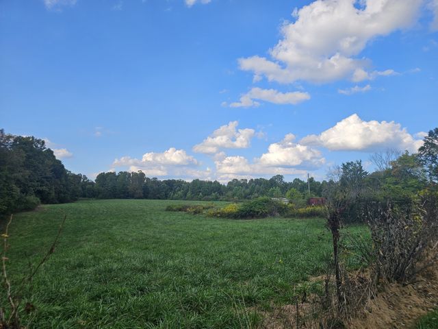 1077 Rock Ave, Palmer, TN 37365