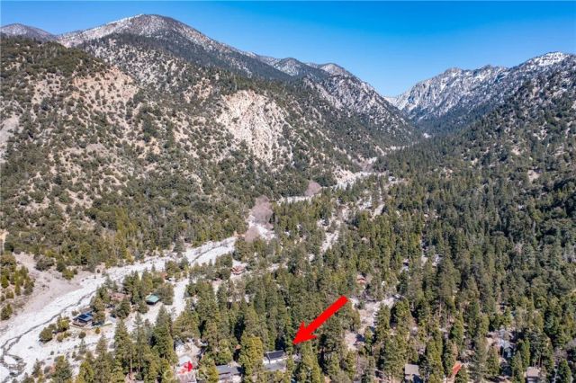 41208 Valley Of The Falls Drive, Forest Falls, CA 92339