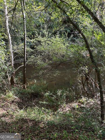 132 Pineworth Pointe Drive, Macon, GA 31216