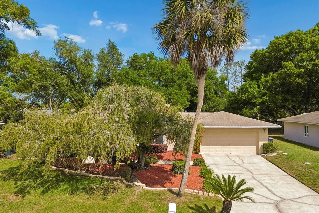 Image 39 of property listing at 9004 HOGANS BEND, Tampa, FL 33647