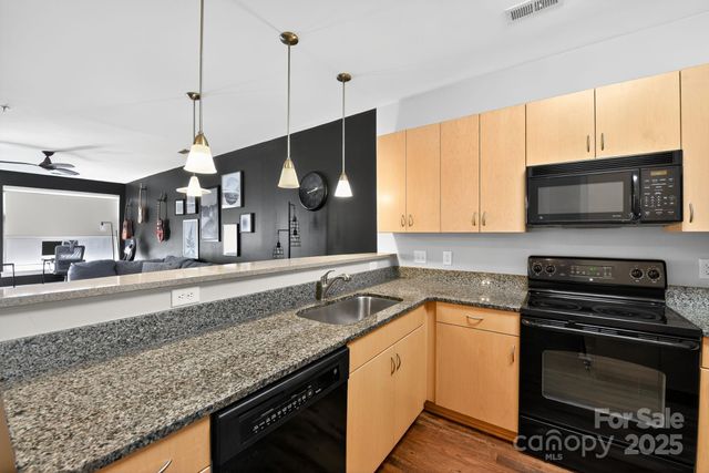 1101 W 1st Street 309, Charlotte, NC 28202