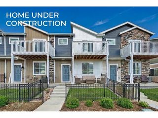 2846 Bear Springs Cir, Longmont, CO 80503