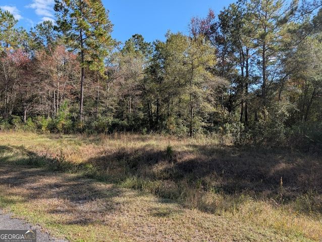 559 Lake Deborah Drive, Folkston, GA 31537