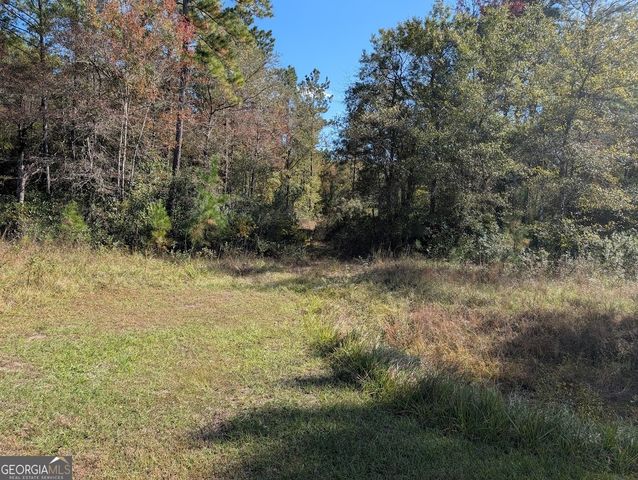 559 Lake Deborah Drive, Folkston, GA 31537