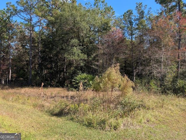 559 Lake Deborah Drive, Folkston, GA 31537