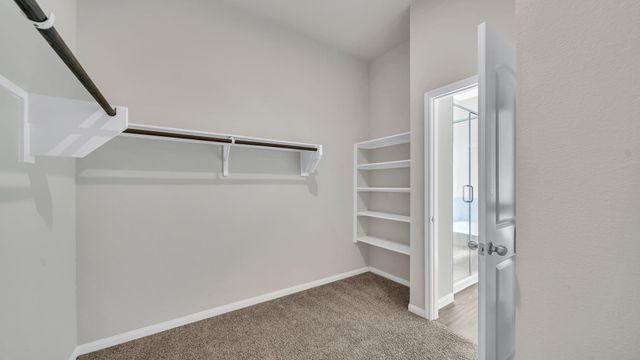 1180 Courteous Creek Drive, Montgomery, TX 77316