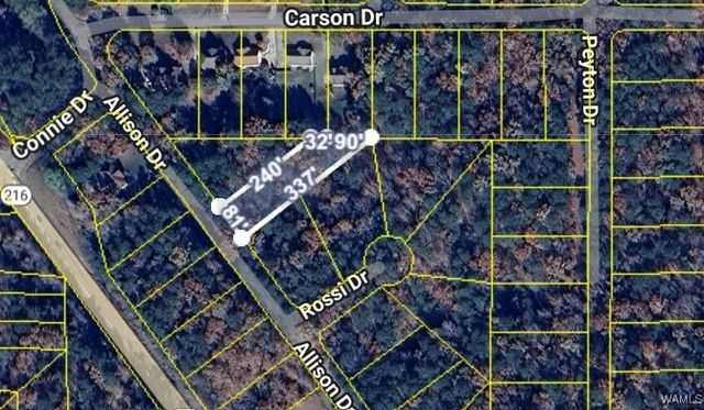 Lot 12 Allison Drive, Mccalla, AL 35111