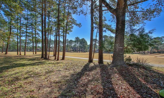 28742 Lakeside Green, Magnolia, TX 77355