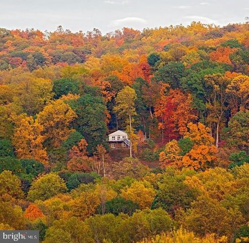 500 DELICIOUS RD, Linden, VA 22642