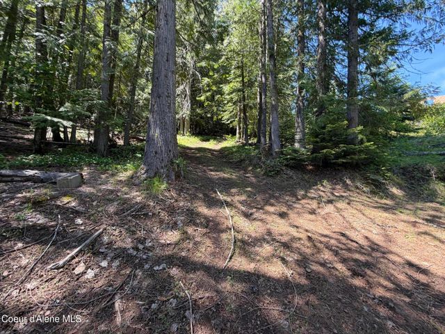 14226 W Spirit Lake Shore, Spirit Lake, ID 83869