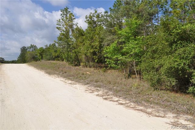 6714 N Damascus Avenue, Dunnellon, FL 34433