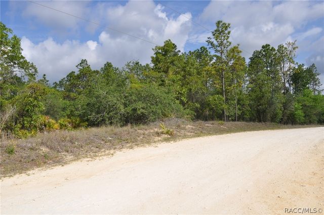 6714 N Damascus Avenue, Dunnellon, FL 34433