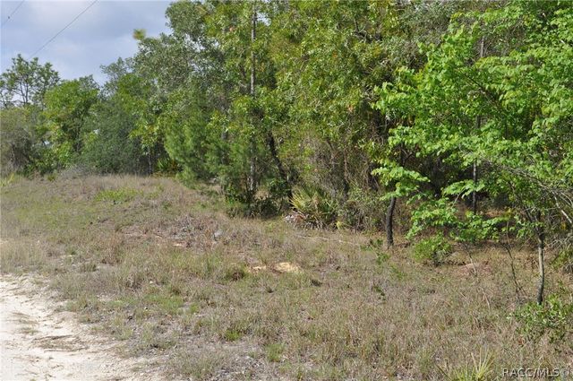 6714 N Damascus Avenue, Dunnellon, FL 34433
