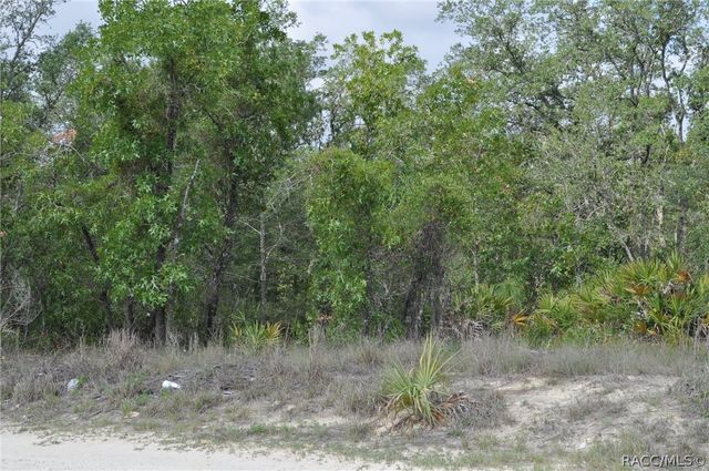 6714 N Damascus Avenue, Dunnellon, FL 34433