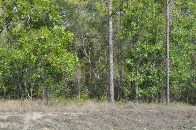 6714 N Damascus Avenue, Dunnellon, FL 34433